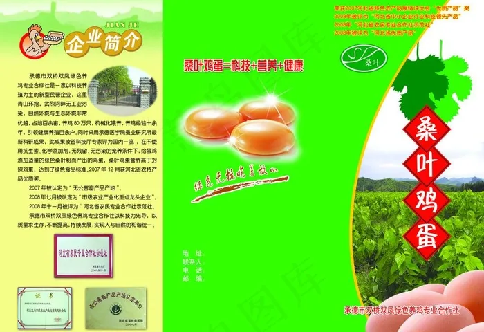 桑叶鸡蛋三折页图片psd模版下载