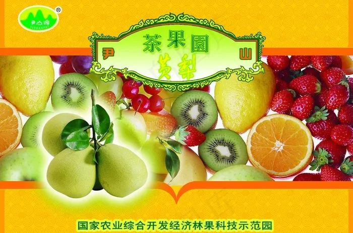 水果包装图片psd模版下载