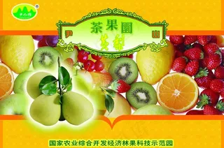 水果包装图片