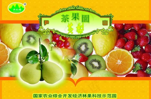 水果包装图片 水果包装图片