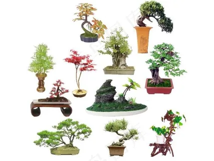 手绘园林景观 手绘园林景观