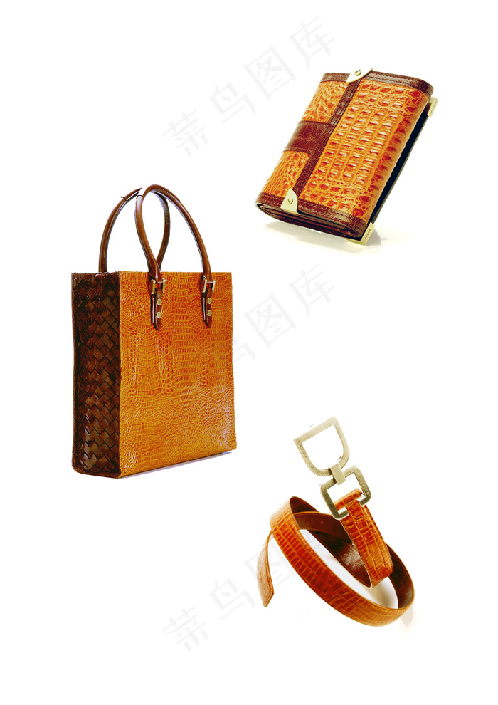 时尚奢华手袋配件图片