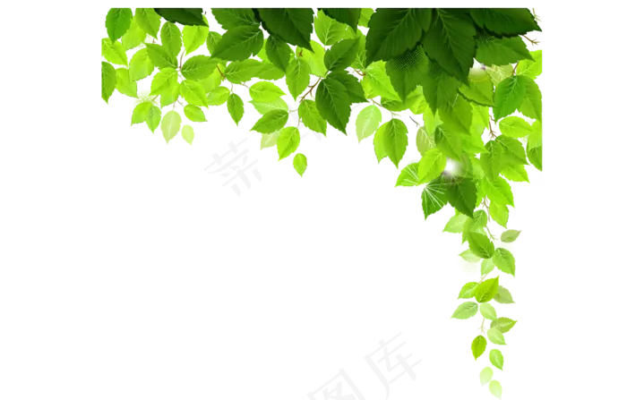 透明绿色叶子背景