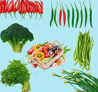 蔬菜素材图片