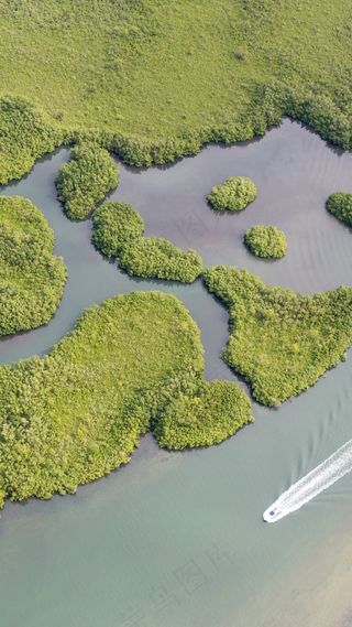 湿地高清摄影图片