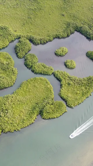 湿地高清摄影图片