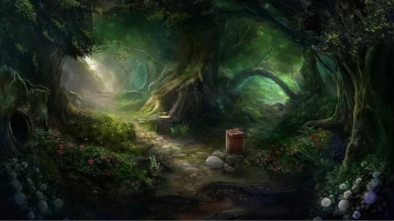 魔法梦幻森林背景 魔法梦幻森林背景