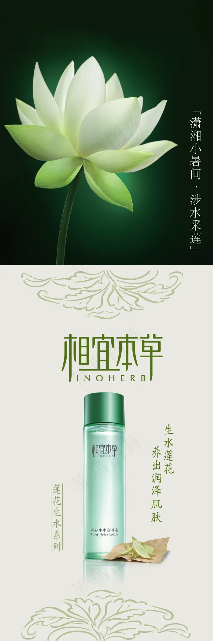 相宜本草产品展示psd模版下载