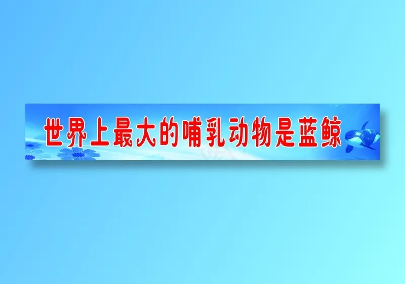 蓝鲸psd模版下载