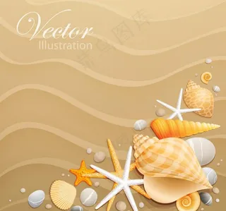 手绘沙滩海洋生物图片