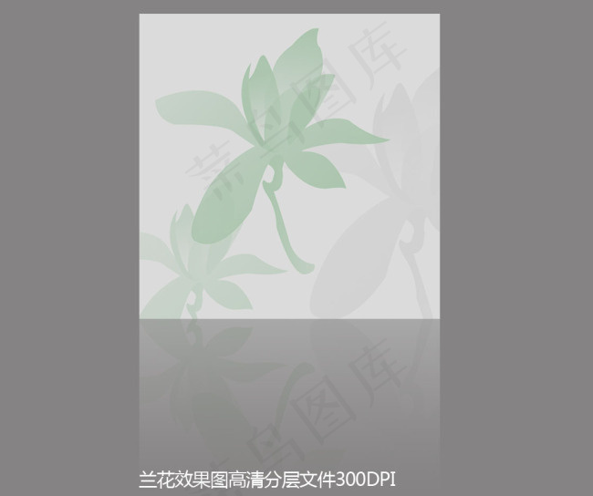 兰花设计cdr矢量模版下载