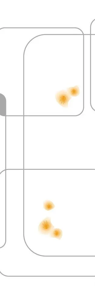 花纹移门cdr矢量模版下载