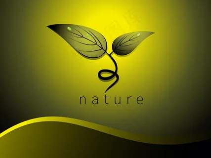 生态学的概念背景