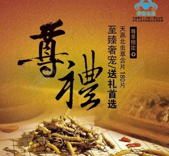 虫草宣传海报图片