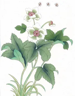 树叶与花国画图片 树叶与花国画图片