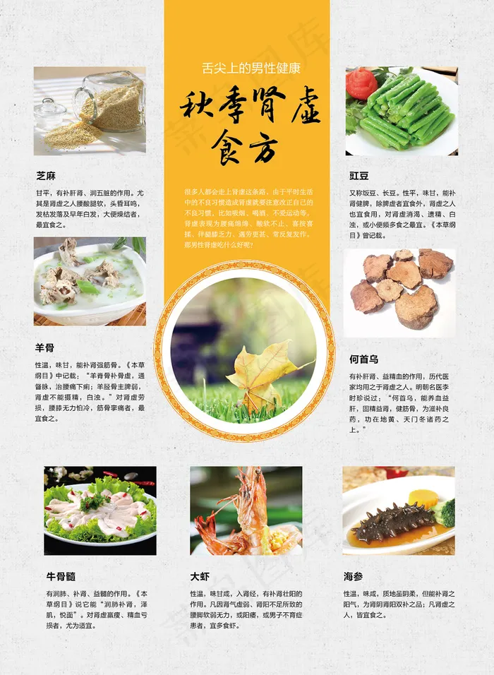 秋季肾虚食方(604X825)eps,ai矢量模版下载