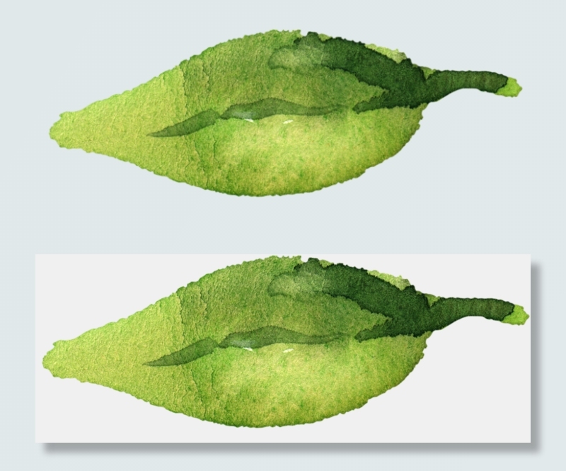 手绘水彩花朵树叶请柬卡片png设计...(269X1283)