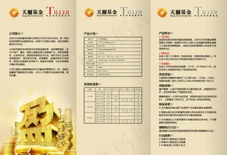 天尔基金内页图片