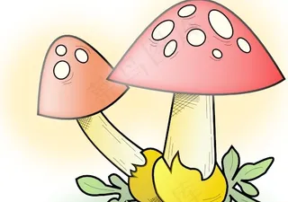 罗曼诺夫蘑菇剪贴画