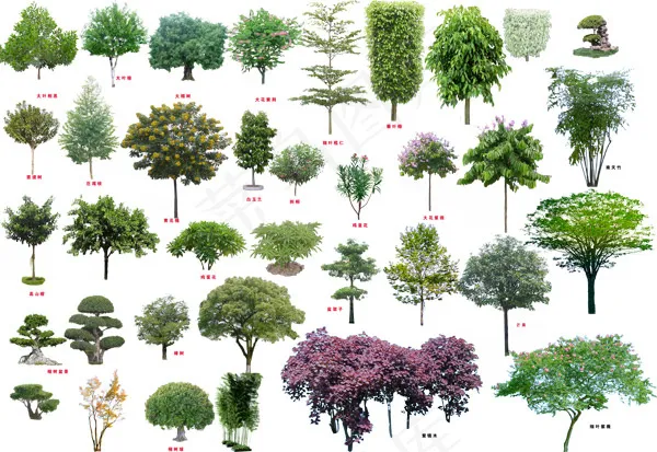 绿色乔灌木植物psd素材(6890X4746(DPI:350))psd模版下载