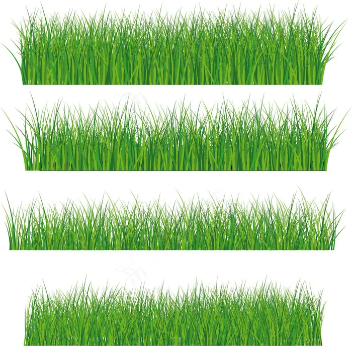 向量元素集08绿草eps,ai矢量模版下载