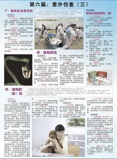 第六篇意外伤害图片