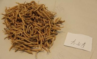 中药饮片太子参图片