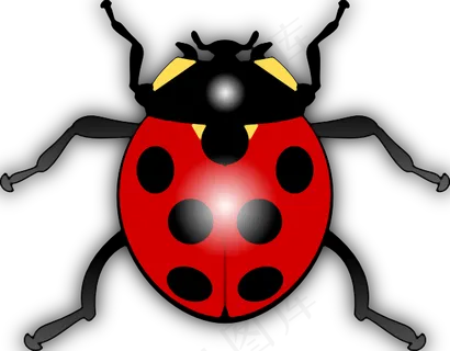 jilagan瓢虫剪贴画