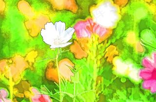 风景装饰画图片