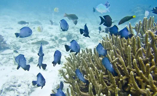 沙巴海景风光图片 沙巴海景风光图片