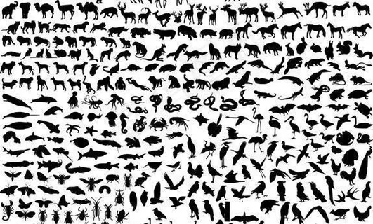 各种动物剪影图片 各种动物剪影图片