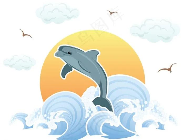 海豚图片psd模版下载