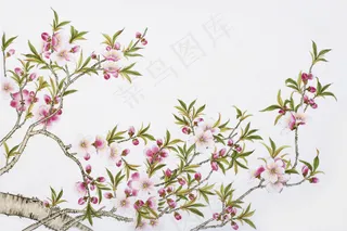绘画桃花图片