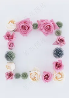 玫瑰花相框图片