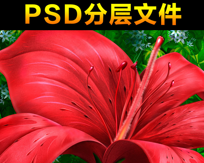 PSD素材玫瑰花花纹矢量图花纹