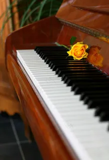 钢琴图片 钢琴图片