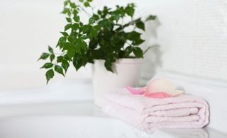 卫生间里的绿色图片