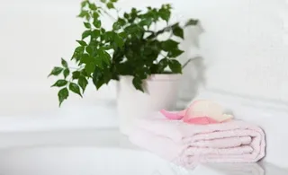 卫生间里的绿色图片