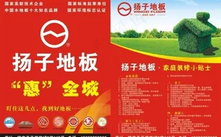 扬子地板dm彩页图片
