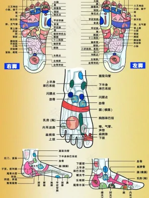 足疗穴位图片