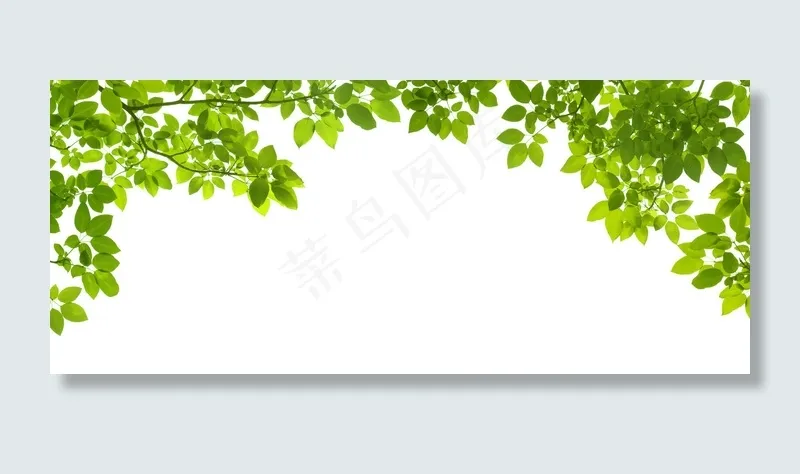 绿色树叶边框图片