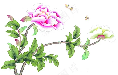 花鸟画 花鸟画