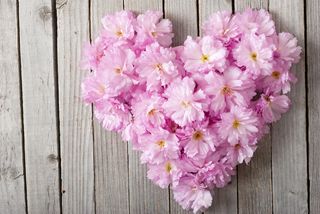 心形鲜花创意图案