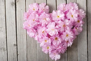 心形鲜花创意图案