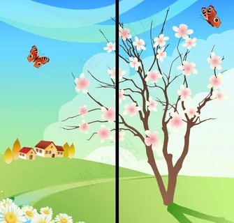 移门树 移门树