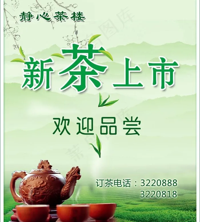 新茶上市图片