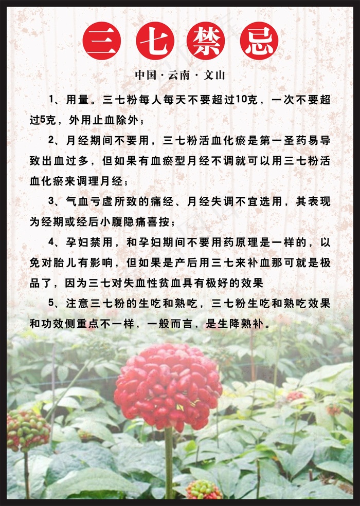 三七禁忌cdr矢量模版下载