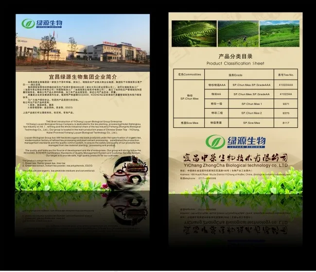 茶叶生物科技单页(1000X1000)cdr矢量模版下载