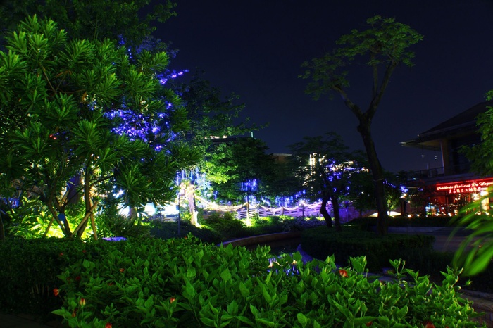 深圳欢乐海岸夜景图片