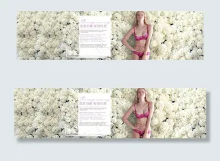 霓裳羽翼极致性感淘宝内衣海报